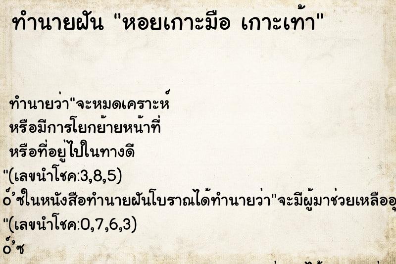 ทำนายฝันทำนายฝันหอยเกาะมือเกาะเท้า